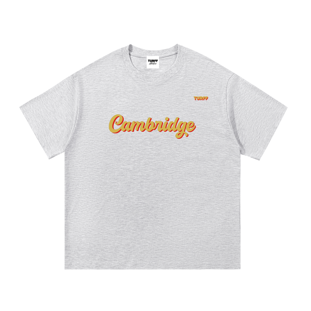 TURFF™ Alternate Light City T-shirt - Lions